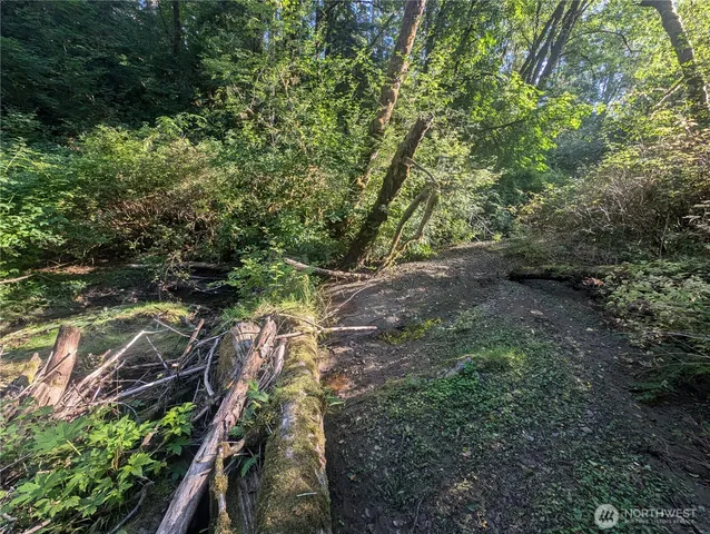 a view of an outdoor space