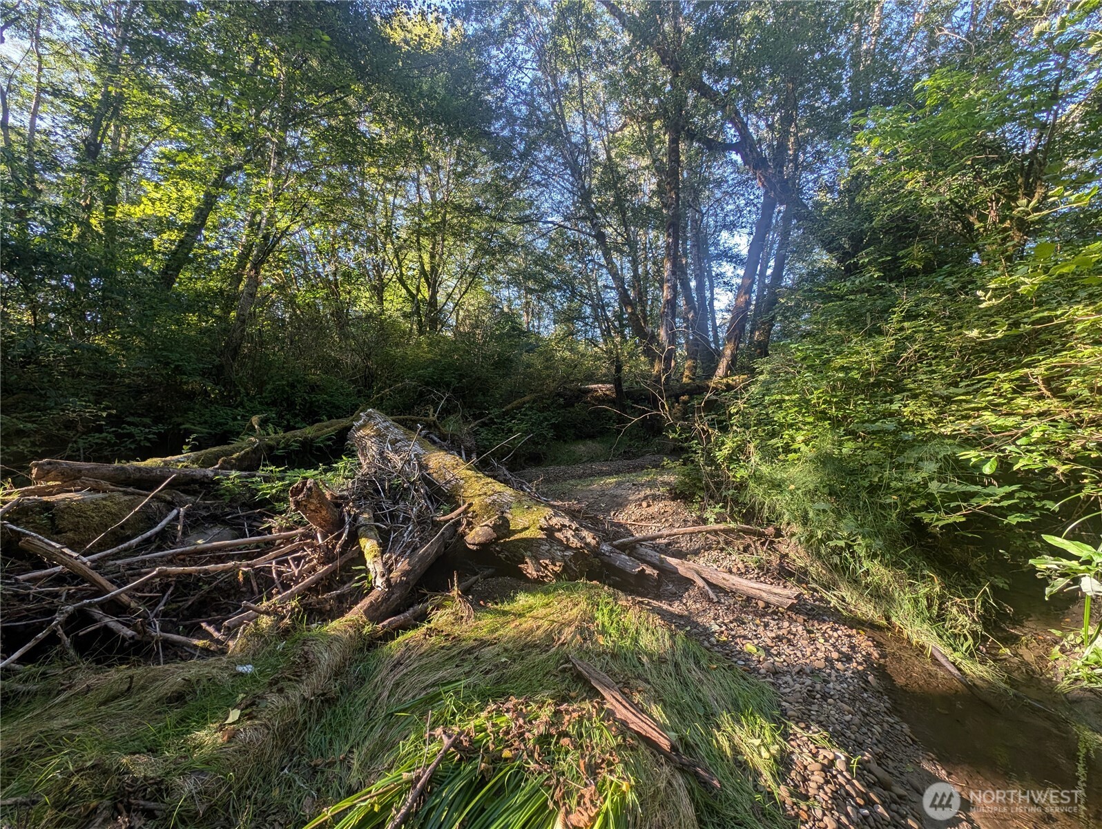 999 Whitcomb-dimmel Rd Forks Forks, WA 98331 - Photo 10 of 20 a backyard of a house with lots of green space