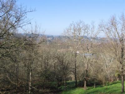 a view of a city with lush green forest