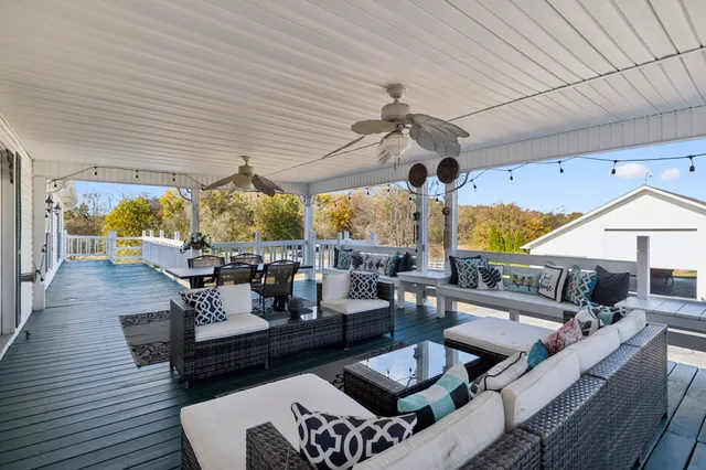 a view of a yard with plants and trees