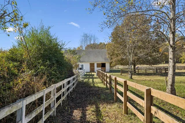 a view of a yard with trees