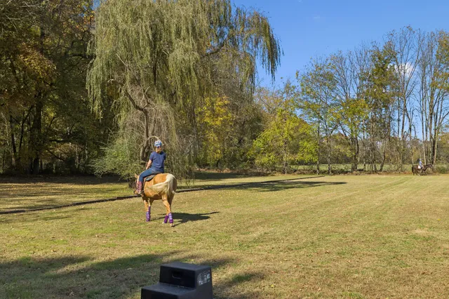 a close up of a plant in a garden