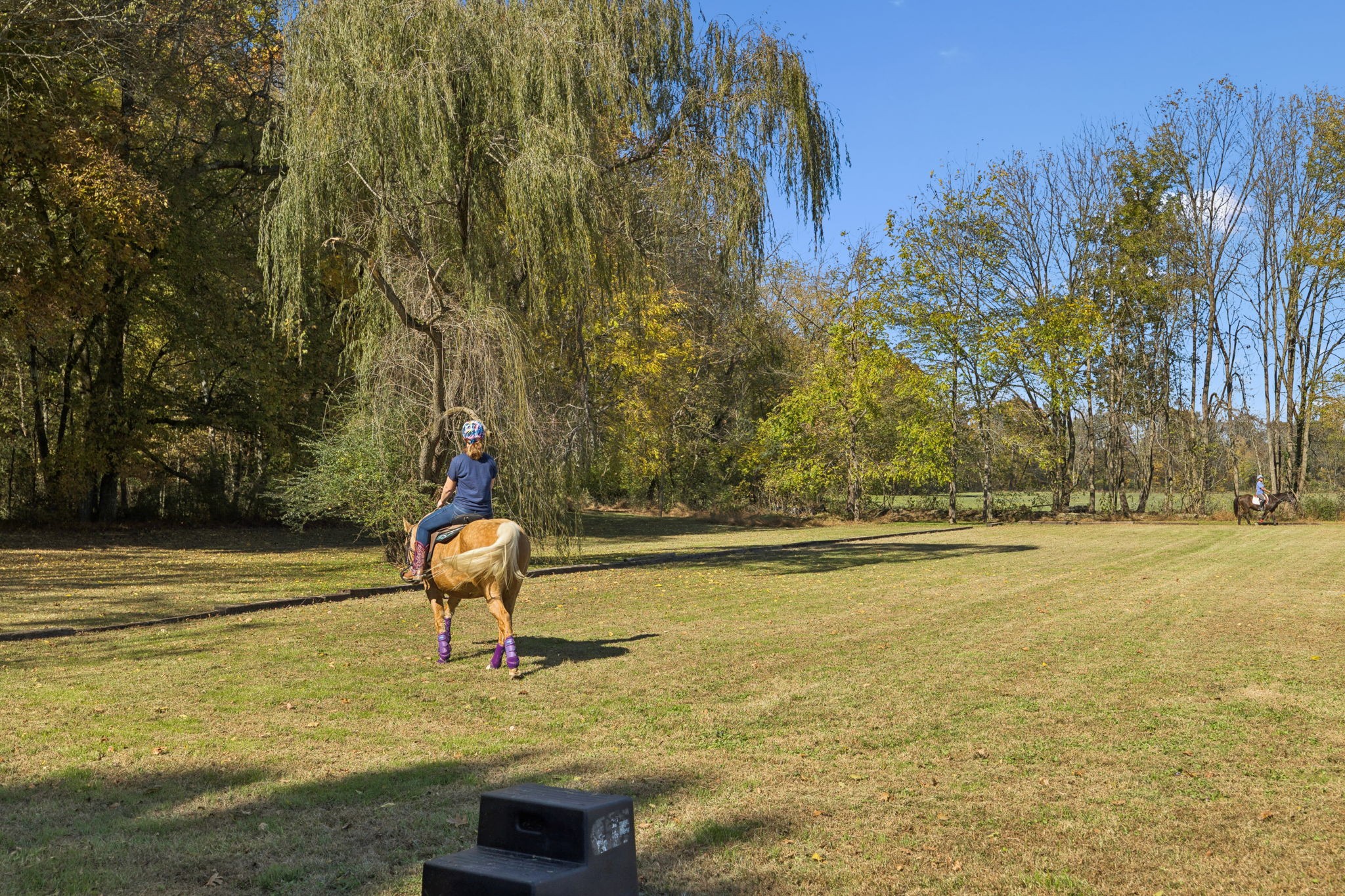 2600 Clanton Road Lawrenceburg, TN 38464 - Photo 49 of 71 Gallery Image 49