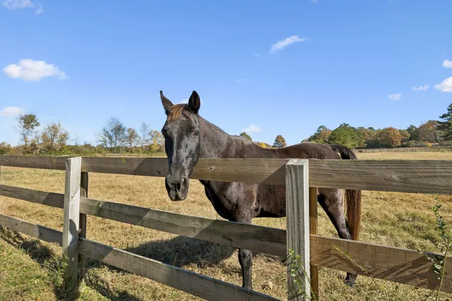 a view of a lake with a mountain