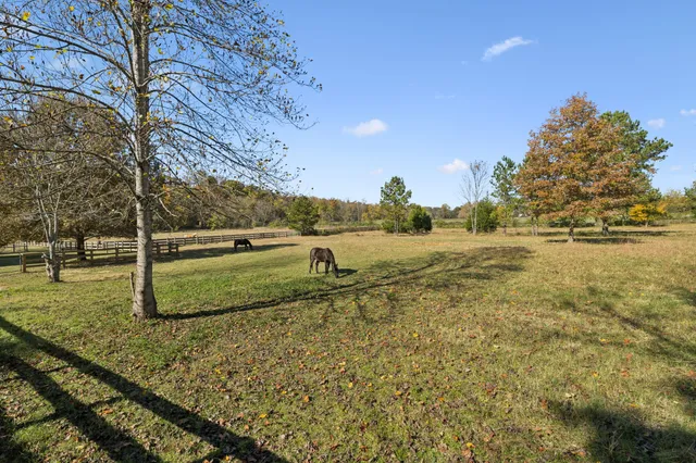 a view of kitchen with stainless steel appliances kitchen sink refrigerator and oven