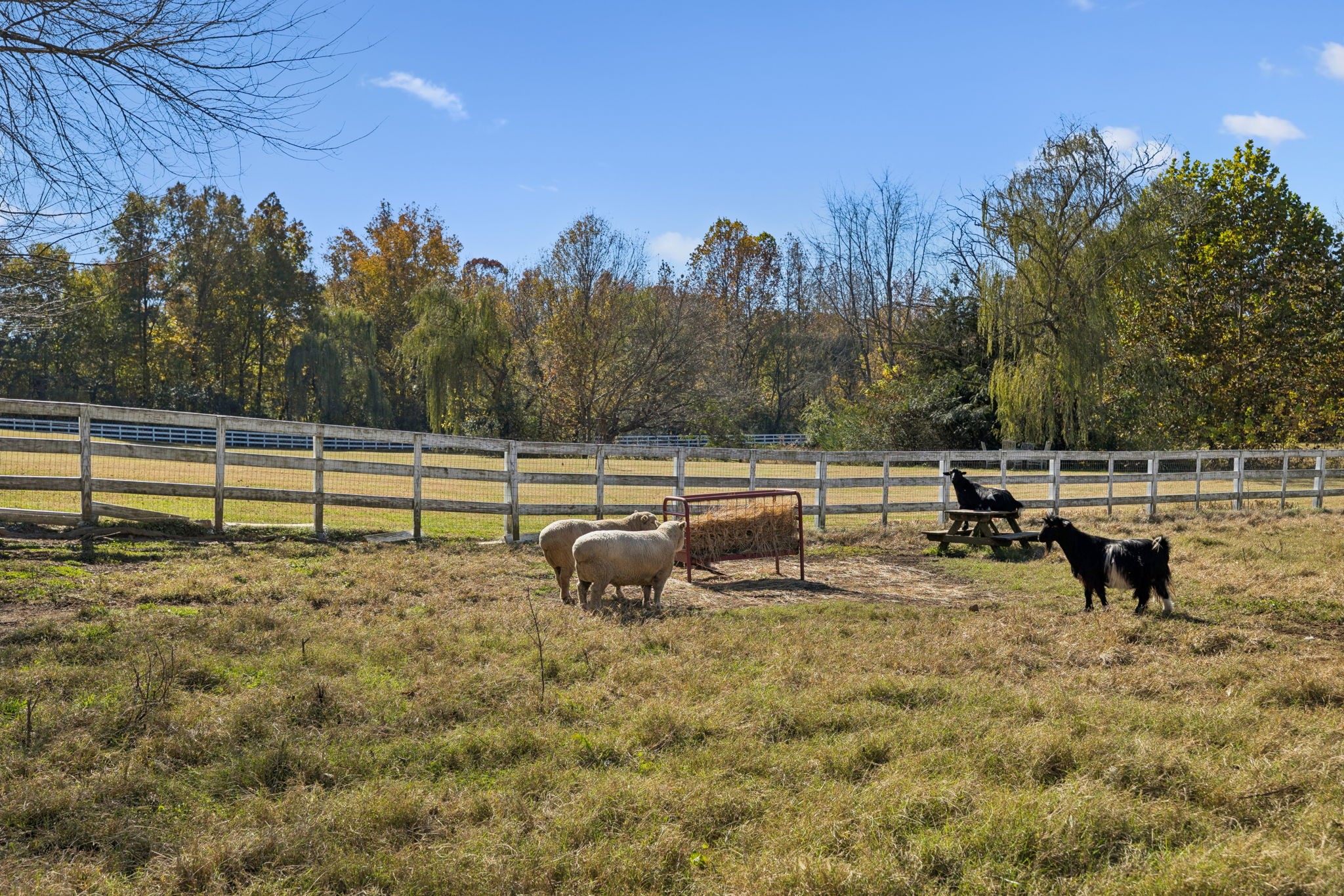 2600 Clanton Road Lawrenceburg, TN 38464 - Photo 53 of 71 Gallery Image 53