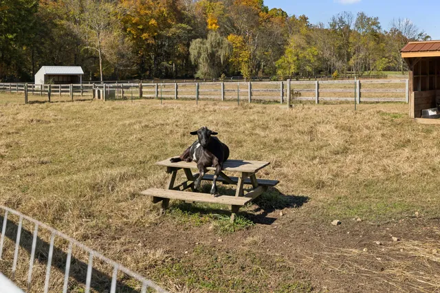 $1,249,000 | 2600 Clanton Road, Lawrenceburg, TN 38464