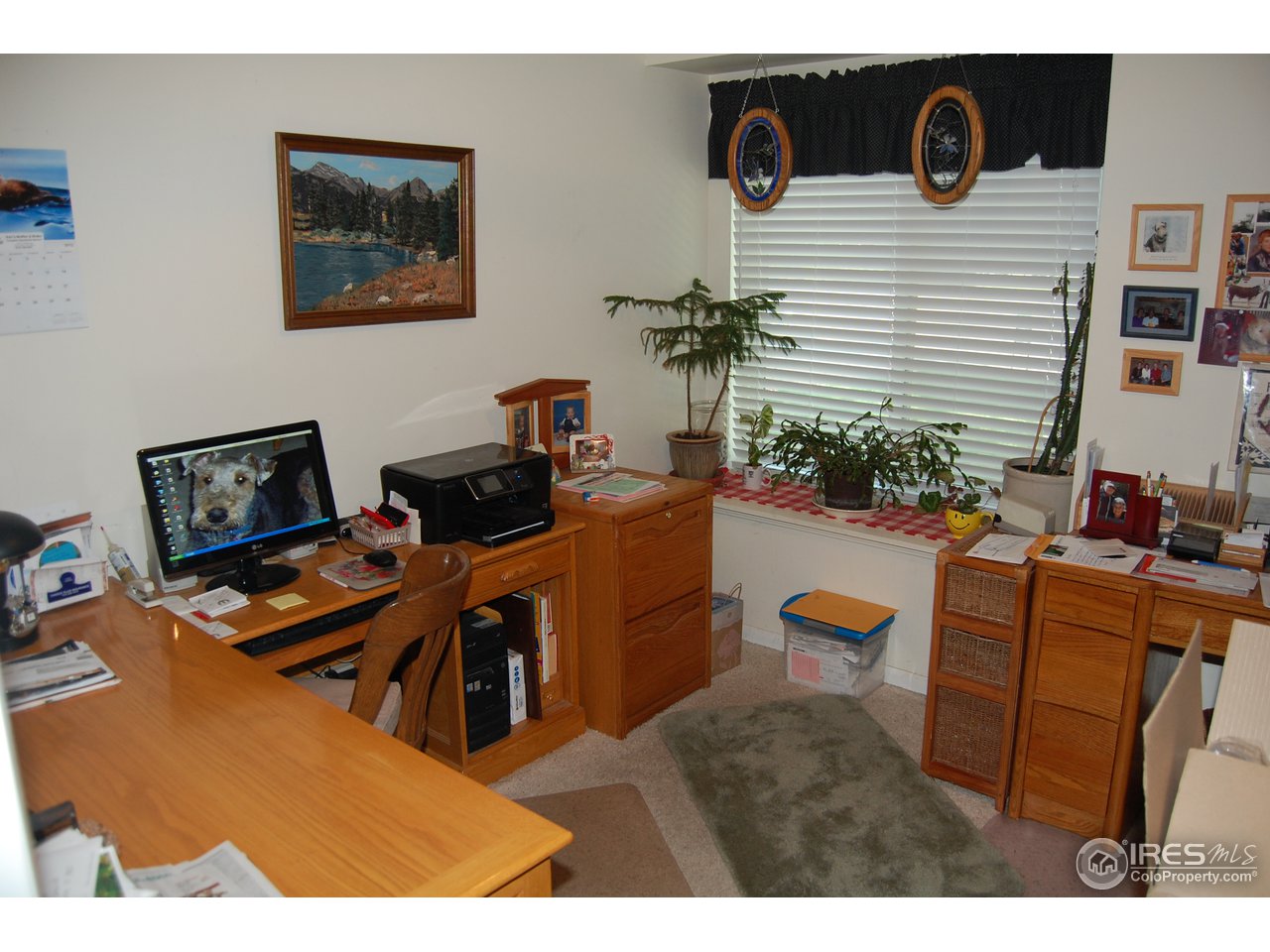 217 East Swallow Road Fort Collins, CO 80525 - Photo 10 of 19 Gallery Image 10