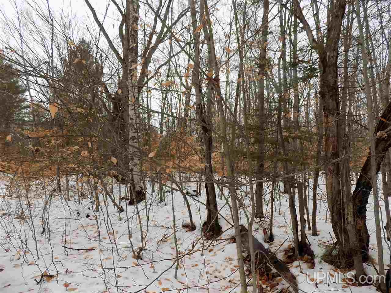 Tbd Co Rd 452 Manistique, MI 49854 - Photo 4 of 12 Gallery Image 4