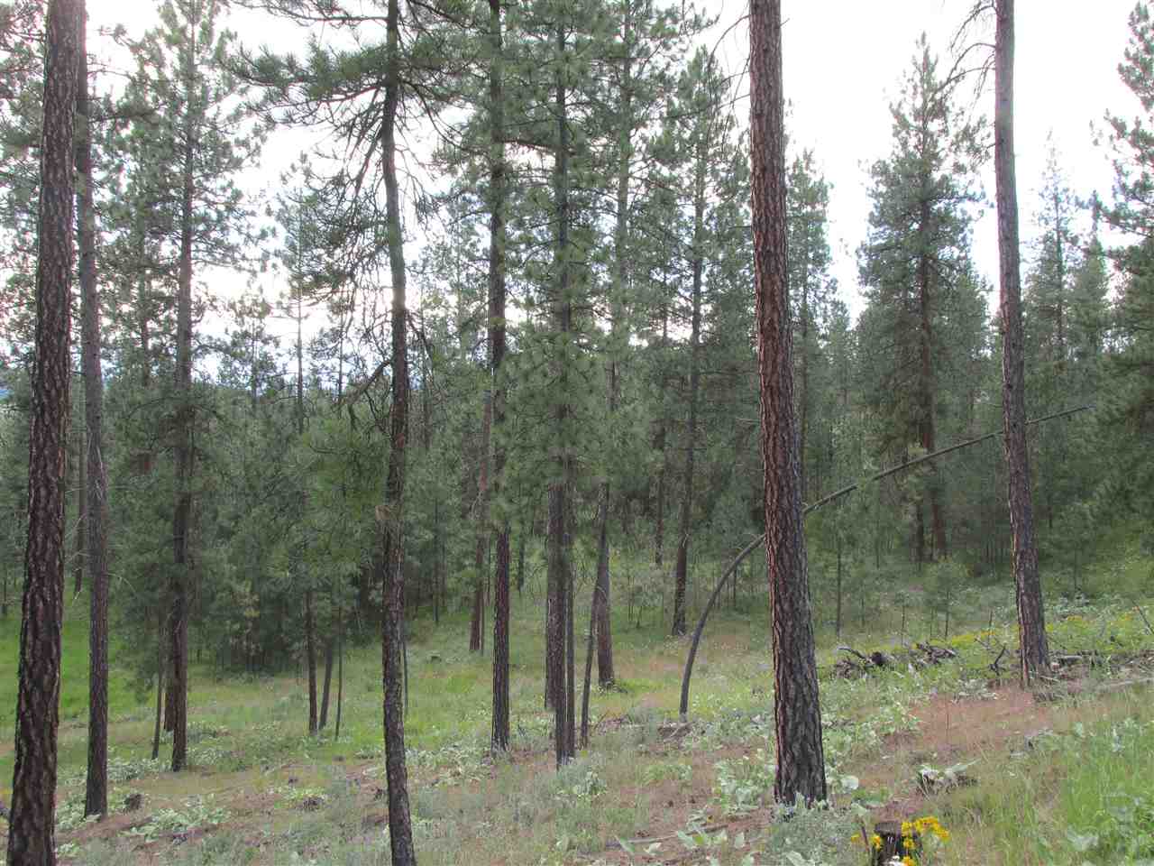 10 Westover Road Colville, WA 99114 - Photo 14 of 16 Gallery Image 14
