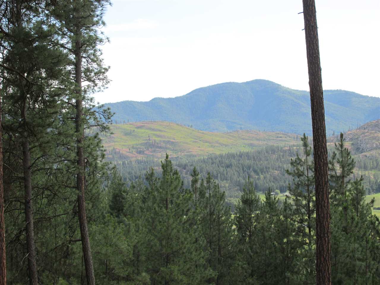 10 Westover Road Colville, WA 99114 - Photo 3 of 16 Gallery Image 3