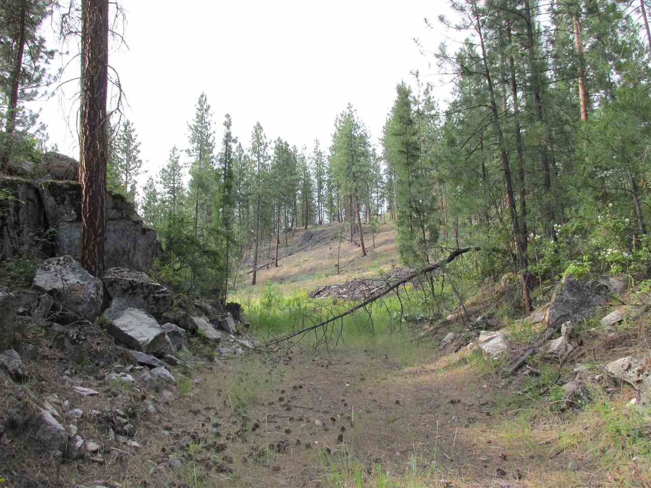 10 Westover Road Colville, WA 99114 - Photo 4 of 16 Gallery Image 4