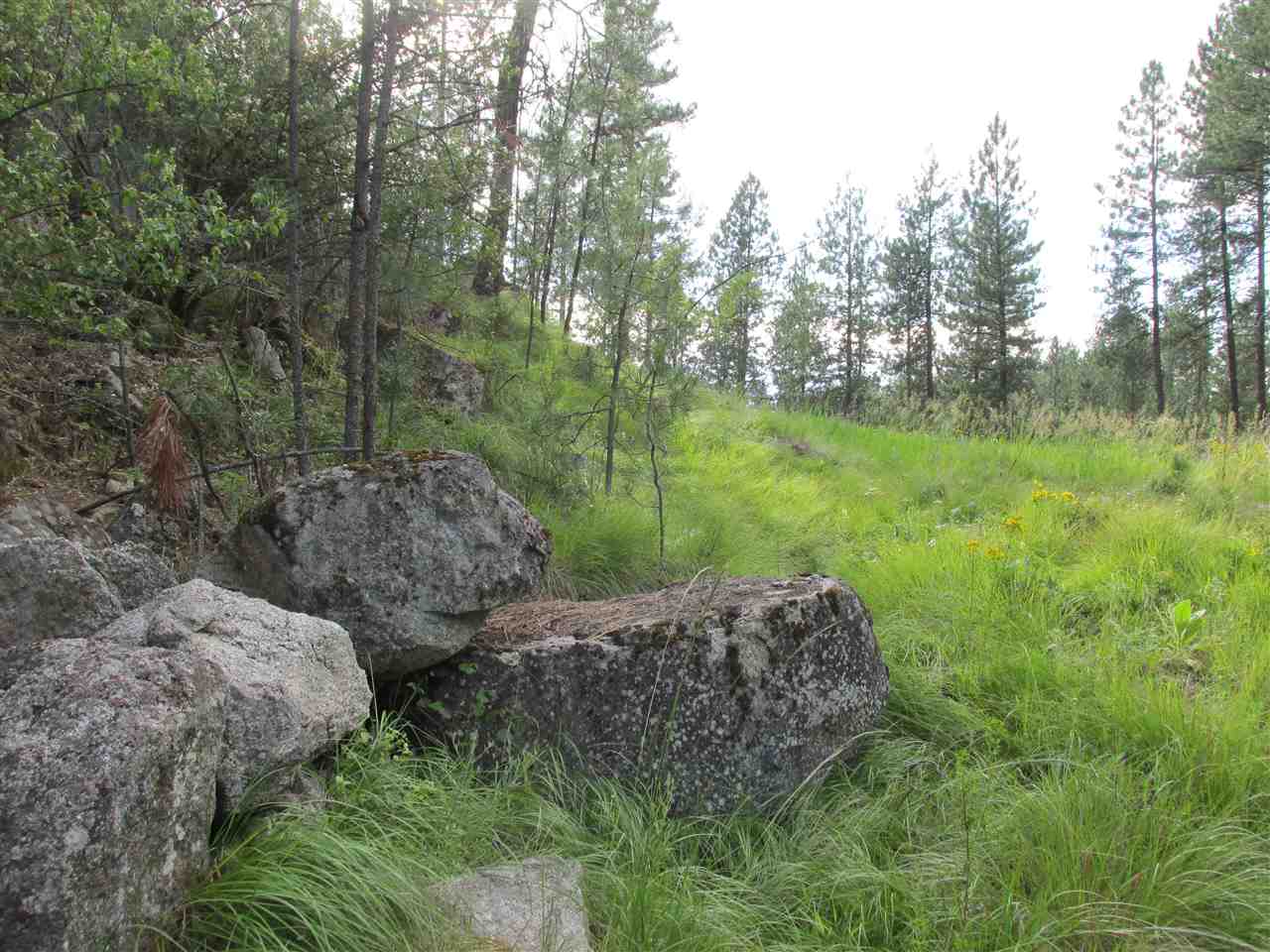 10 Westover Road Colville, WA 99114 - Photo 5 of 16 Gallery Image 5