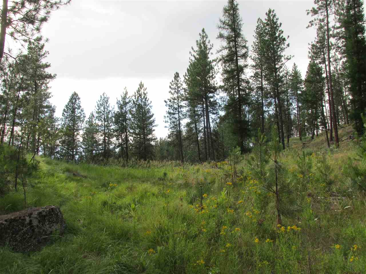 10 Westover Road Colville, WA 99114 - Photo 7 of 16 Gallery Image 7