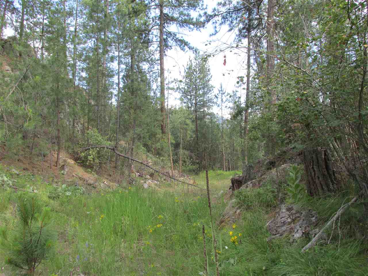 10 Westover Road Colville, WA 99114 - Photo 8 of 16 Gallery Image 8