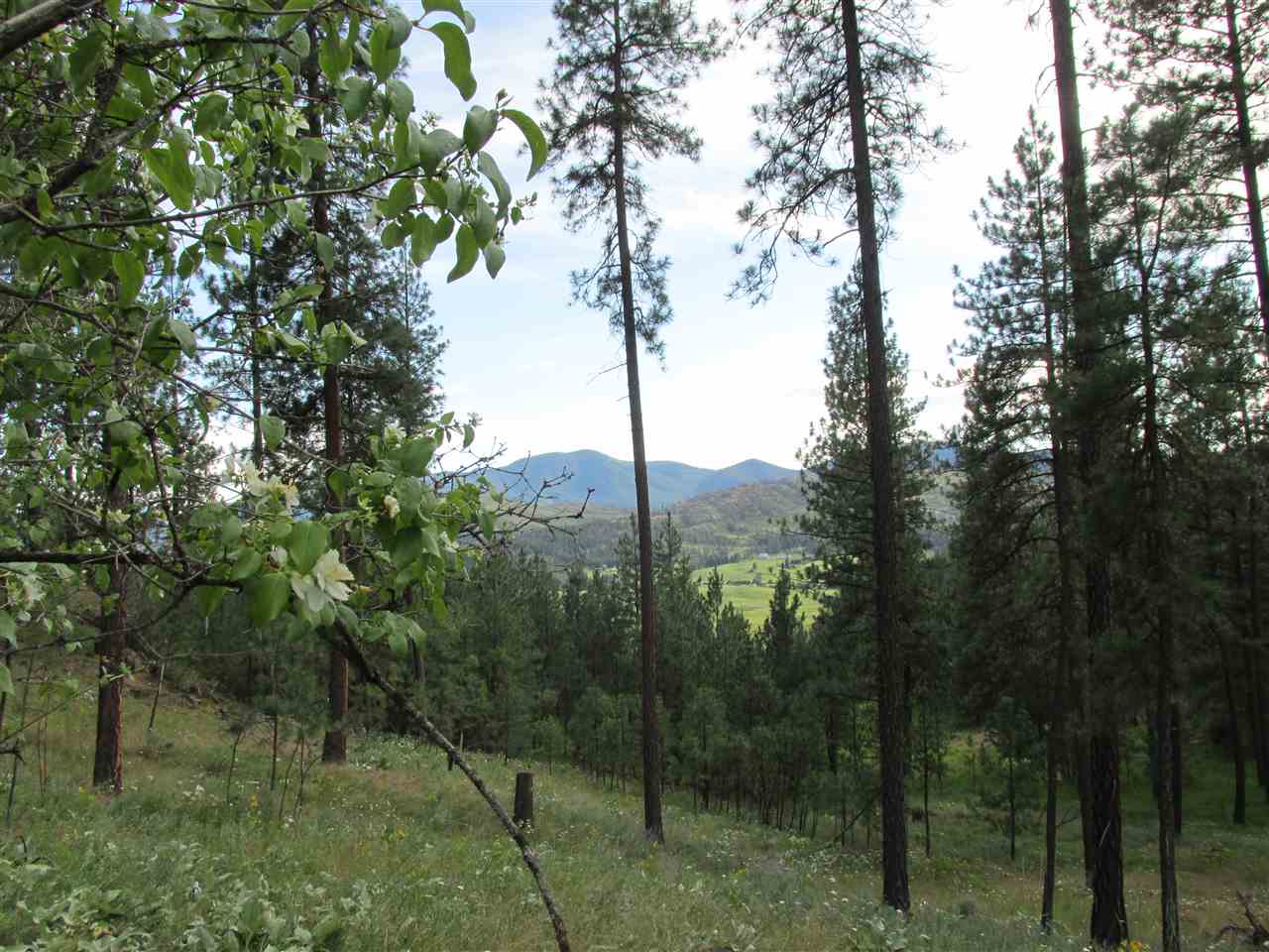 10 Westover Road Colville, WA 99114 - Photo 9 of 16 Gallery Image 9
