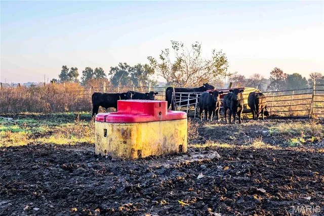 $995,000 | 3605 County Road 230, Fulton, MO 65251