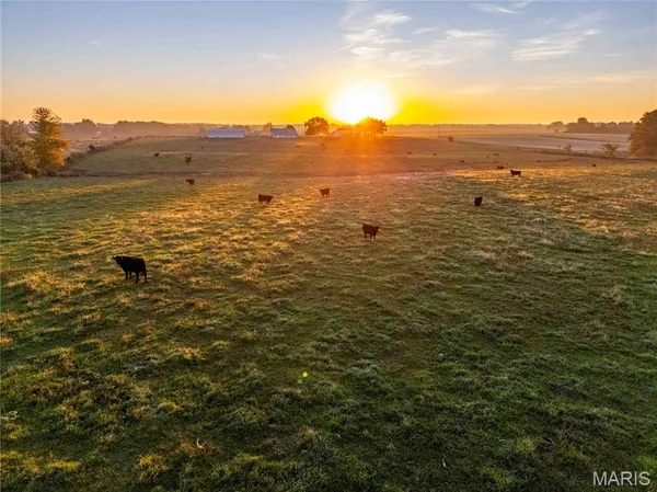 $995,000 | 3605 County Road 230, Fulton, MO 65251