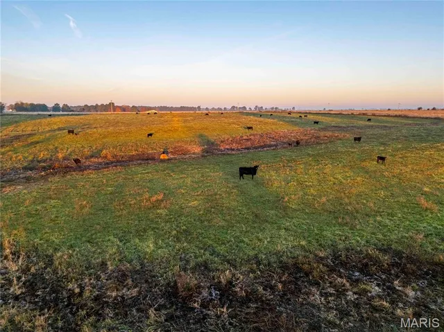 $995,000 | 3605 County Road 230, Fulton, MO 65251