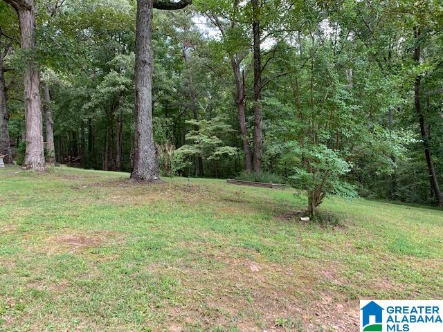 100 Clements Drive Oneonta, AL 35121 - Photo 4 of 8 Gallery Image 4