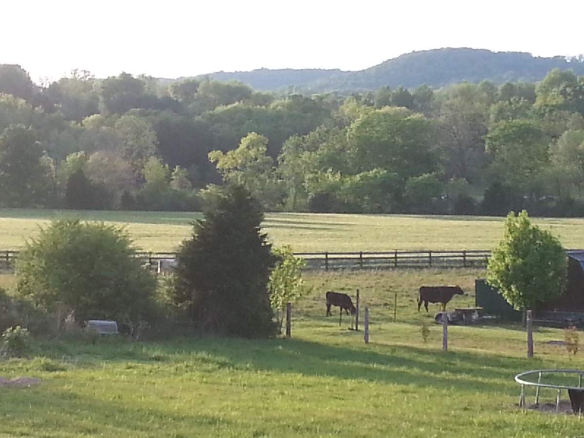1011 Rock Springs Road Bethpage, TN 37022 - Photo 14 of 17 Gallery Image 14