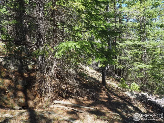 $98,000 | 0 Gamble Gulch Road, Black Hawk, CO 80422