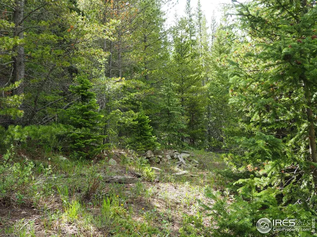 $98,000 | 0 Gamble Gulch Road, Black Hawk, CO 80422