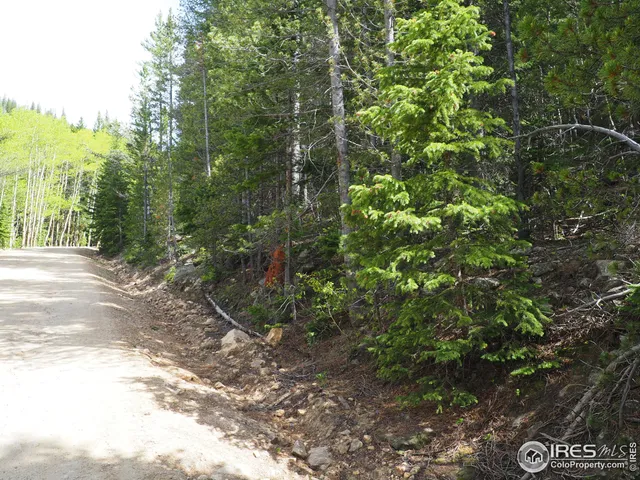 $98,000 | 0 Gamble Gulch Road, Black Hawk, CO 80422