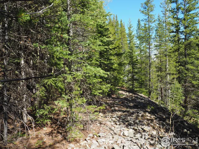 $98,000 | 0 Gamble Gulch Road, Black Hawk, CO 80422