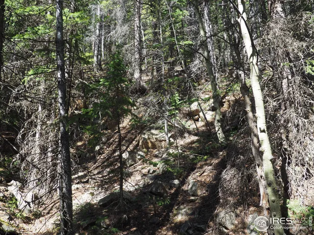 $98,000 | 0 Gamble Gulch Road, Black Hawk, CO 80422