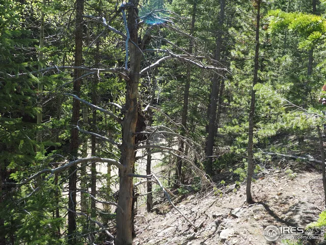 $98,000 | 0 Gamble Gulch Road, Black Hawk, CO 80422