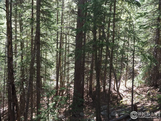 $98,000 | 0 Gamble Gulch Road, Black Hawk, CO 80422