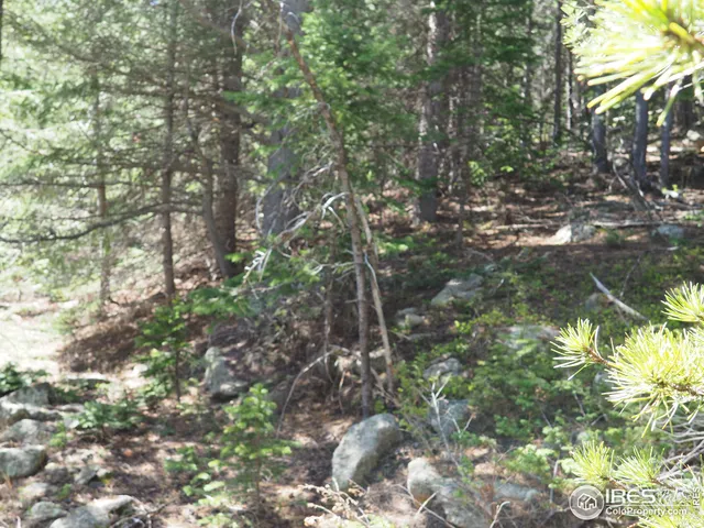 $98,000 | 0 Gamble Gulch Road, Black Hawk, CO 80422
