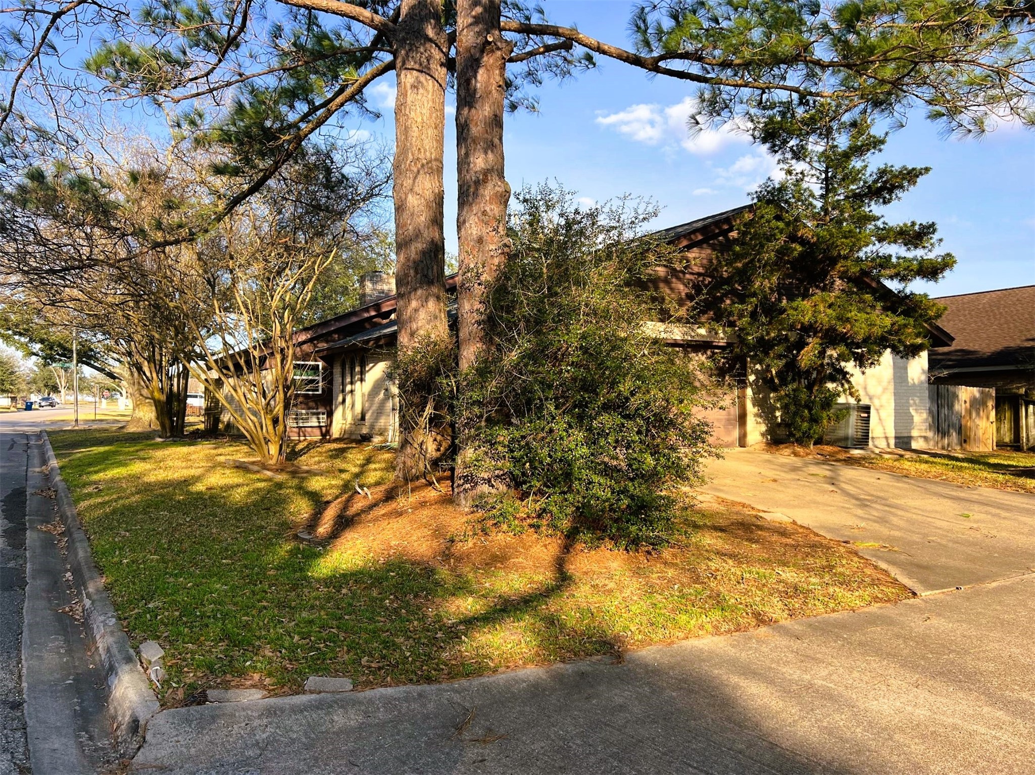 102 Briar Ridge Drive Bellville, TX 77418 - Photo 3 of 14 a view of a yard with plants and trees