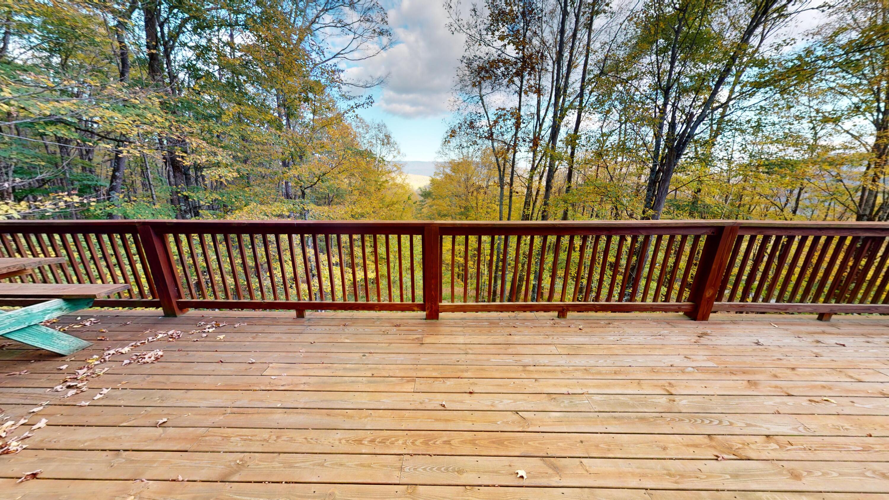 21 Upper Cherry Grove Road Slatyfork, WV 26291 - Photo 16 of 41 Gallery Image 16