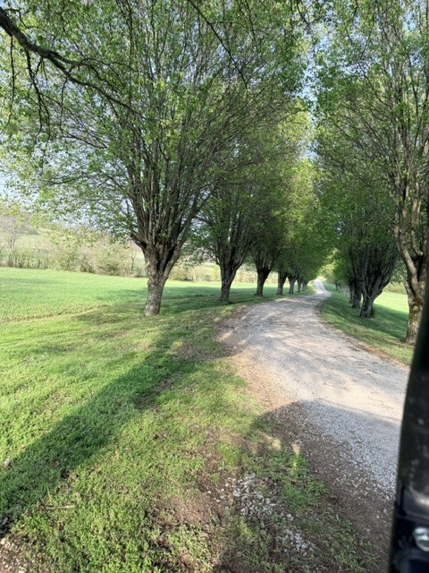 2200 Sugar Ridge Road Spring Hill, TN 37174 - Photo 1 of 9