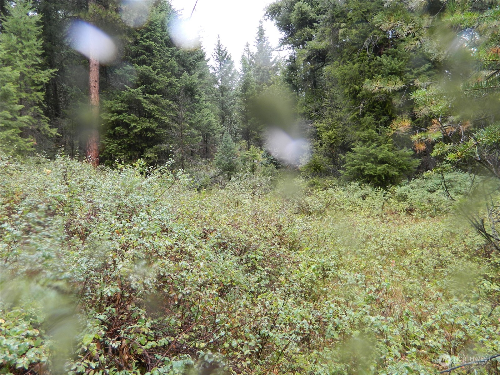 -tbd Turner Lake Road Tonasket, WA 98855 - Photo 11 of 18 Gallery Image 11