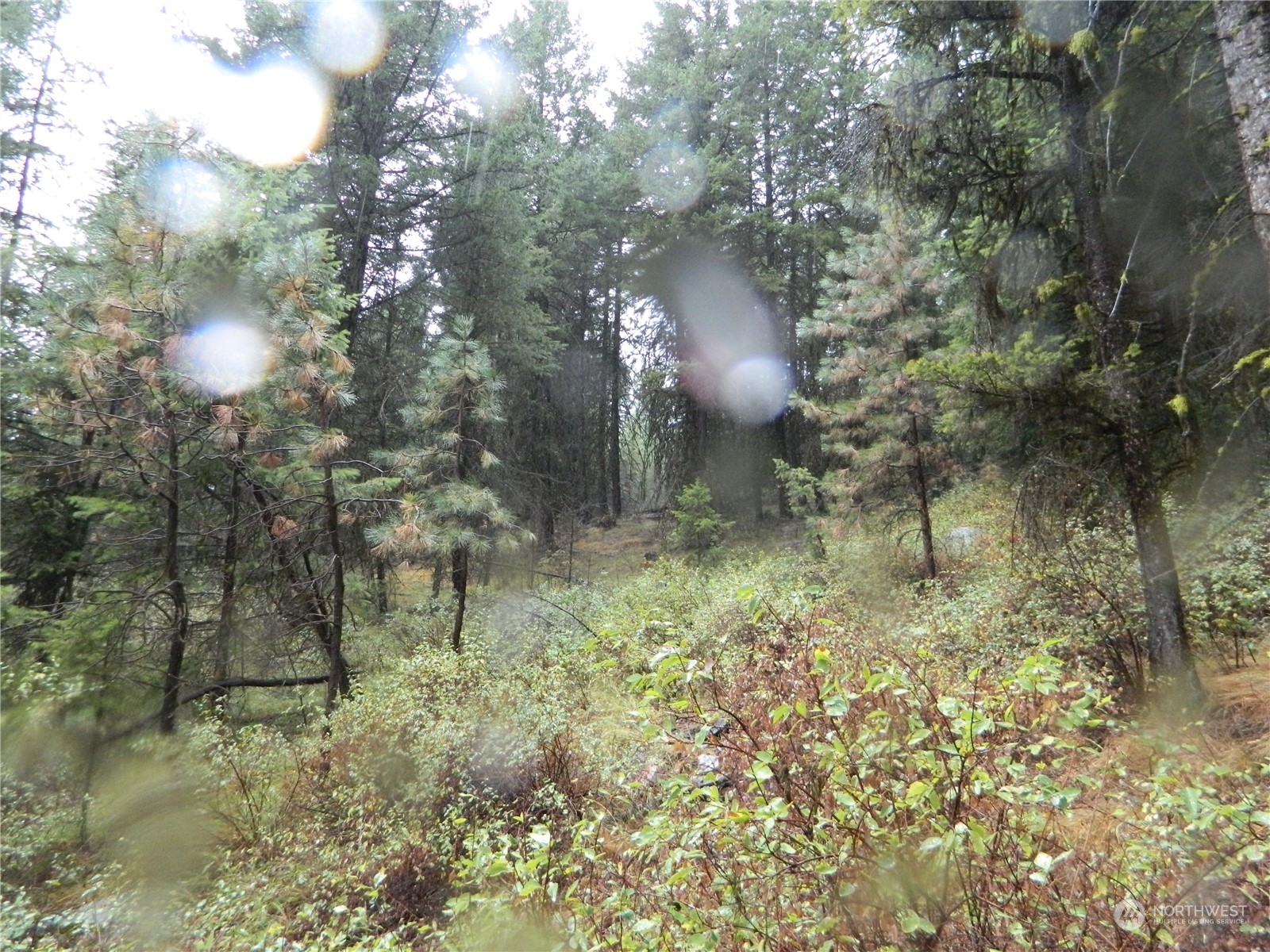 -tbd Turner Lake Road Tonasket, WA 98855 - Photo 12 of 18 Gallery Image 12