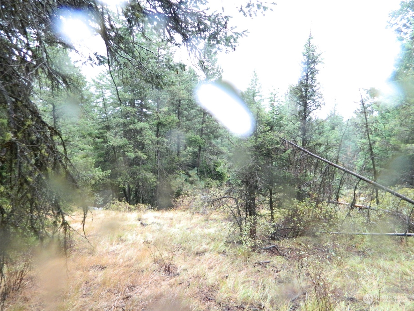 -tbd Turner Lake Road Tonasket, WA 98855 - Photo 17 of 18 Gallery Image 17