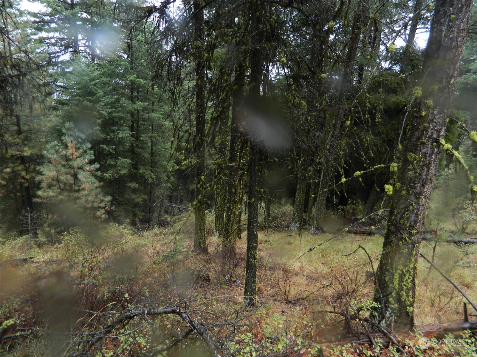 -tbd Turner Lake Road Tonasket, WA 98855 - Photo 18 of 18 Gallery Image 18