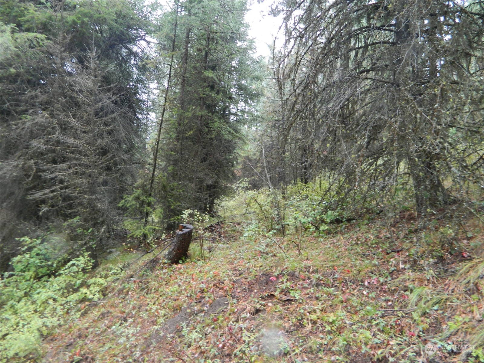 -tbd Turner Lake Road Tonasket, WA 98855 - Photo 2 of 18 Gallery Image 2