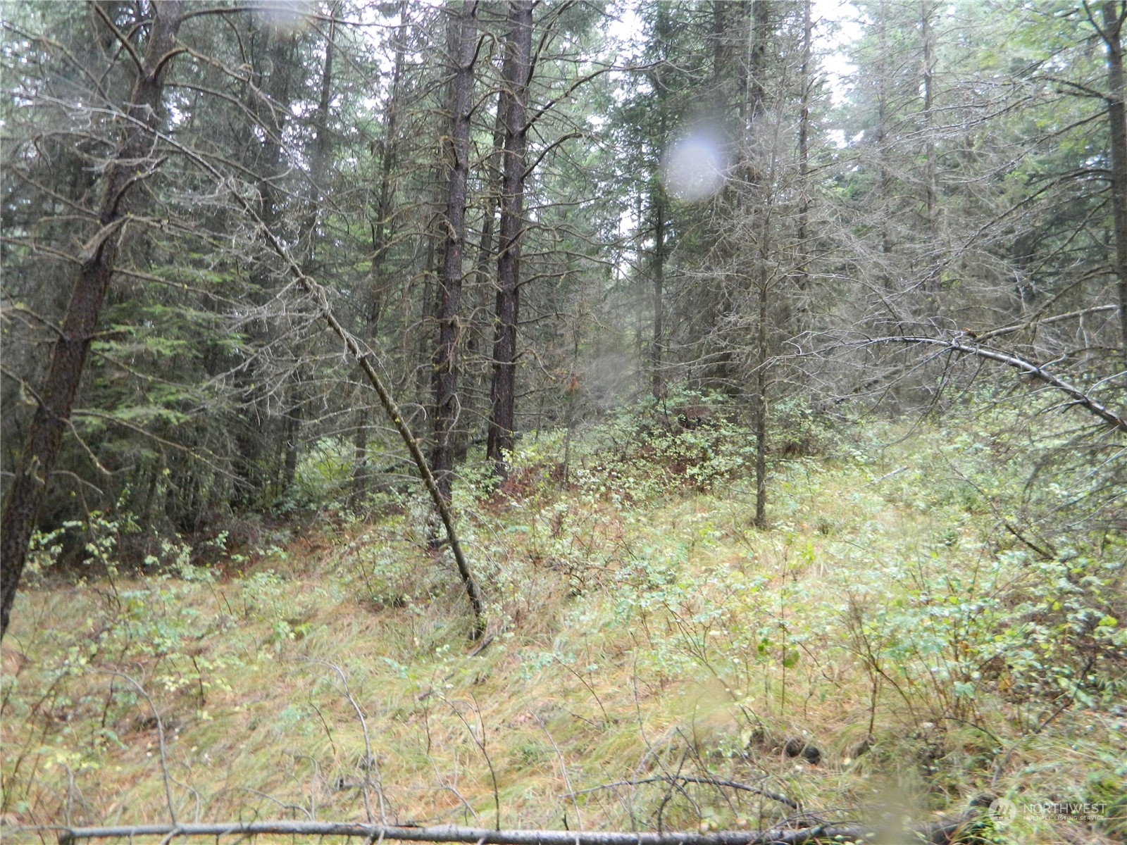 -tbd Turner Lake Road Tonasket, WA 98855 - Photo 7 of 18 Gallery Image 7