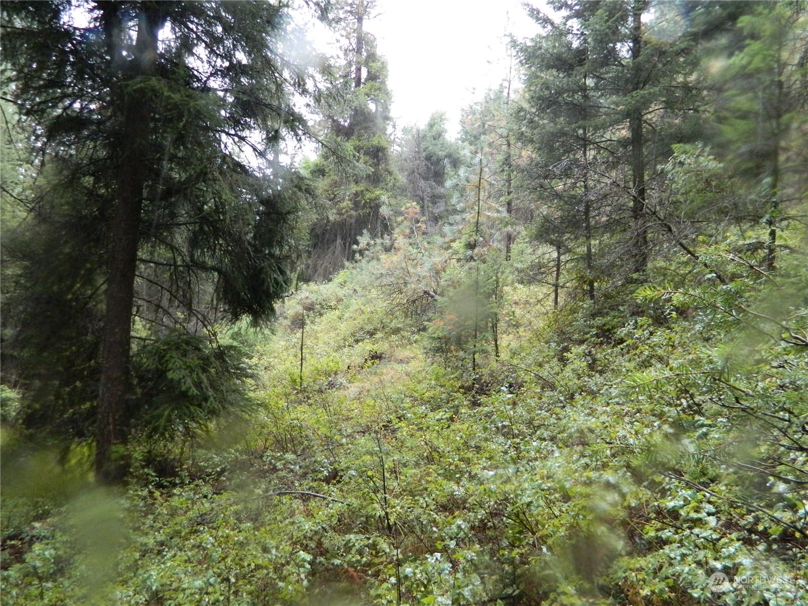 -tbd Turner Lake Road Tonasket, WA 98855 - Photo 10 of 18 Gallery Image 10