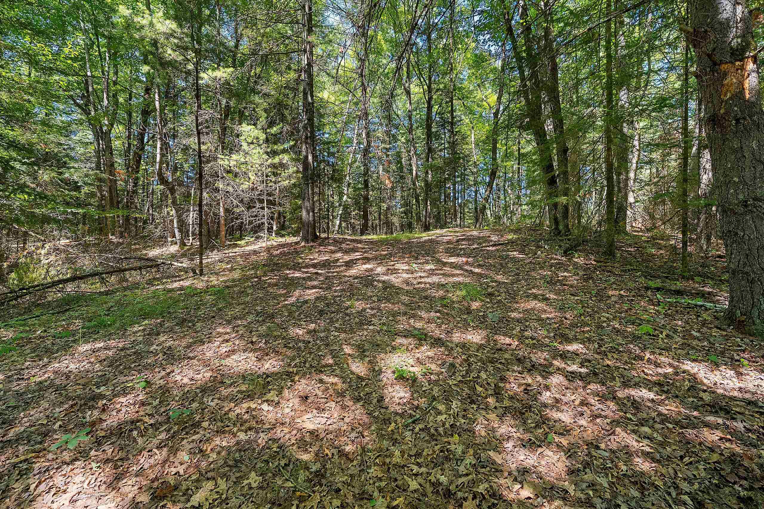 N8775 Boat Landing Road Wausaukee, WI 54177 - Photo 14 of 63