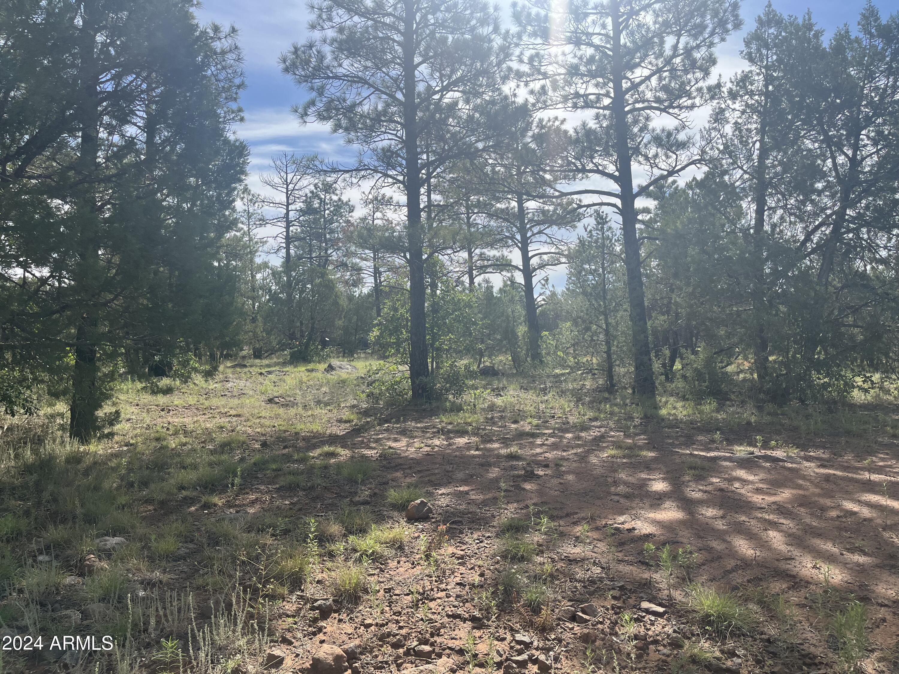 5509 Red Squirrel Lane, Unit 58 Lakeside, AZ 85929 - Photo 1 of 5 Lot 58