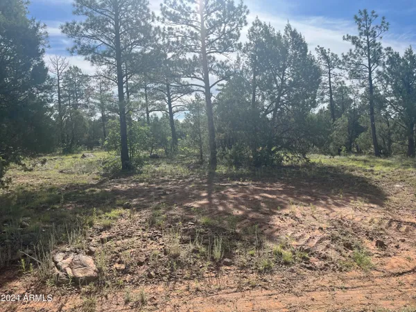 $79,900 | 5509 Red Squirrel Lane, Unit 58, Lakeside, AZ 85929