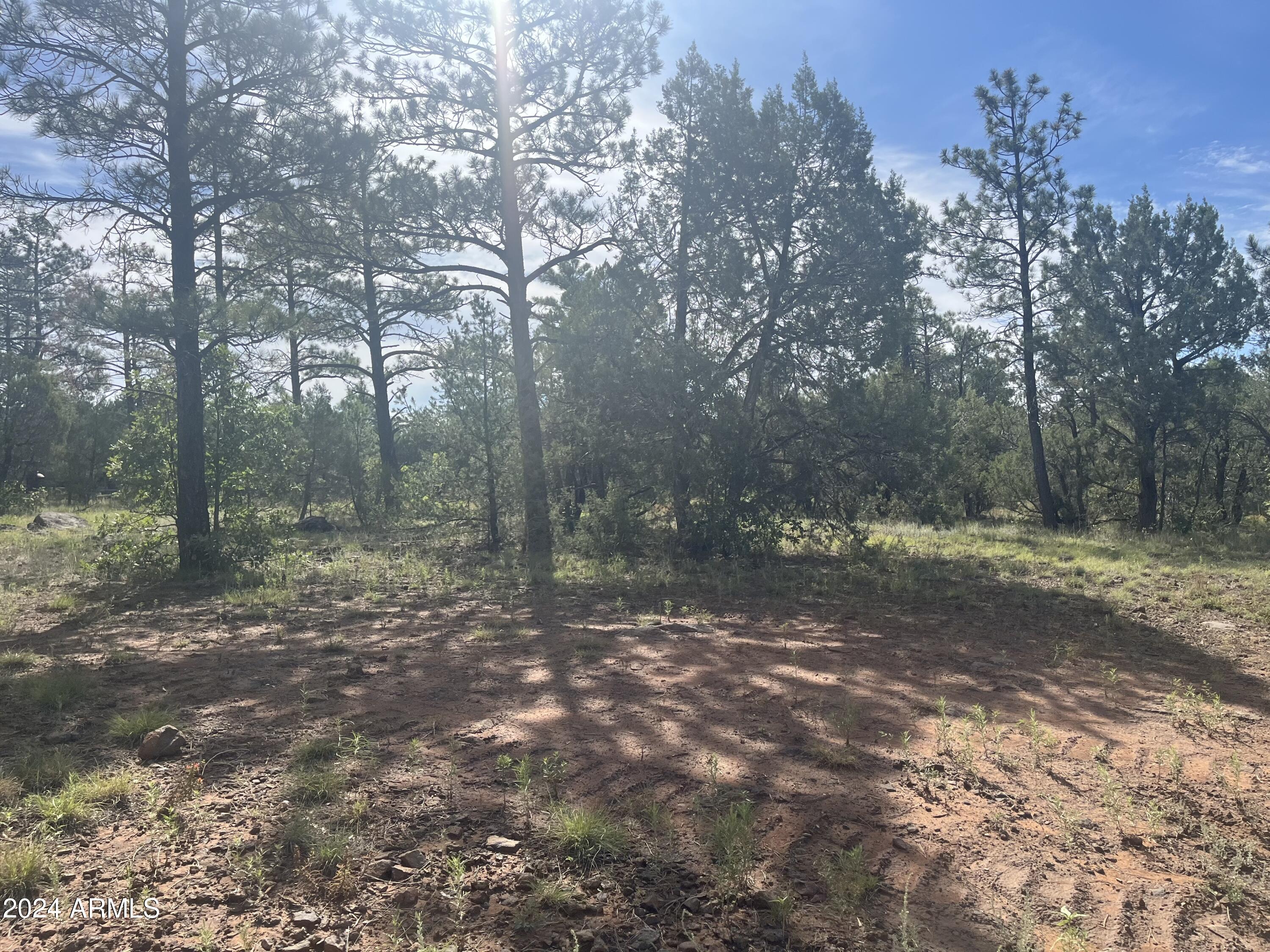 5509 Red Squirrel Lane, Unit 58 Lakeside, AZ 85929 - Photo 3 of 5 Lot 58. 2