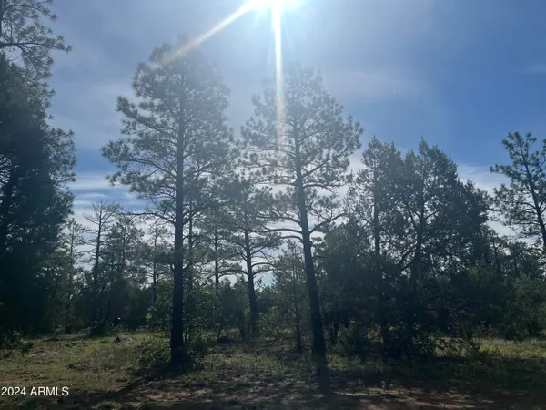 $79,900 | 5509 Red Squirrel Lane, Unit 58, Lakeside, AZ 85929