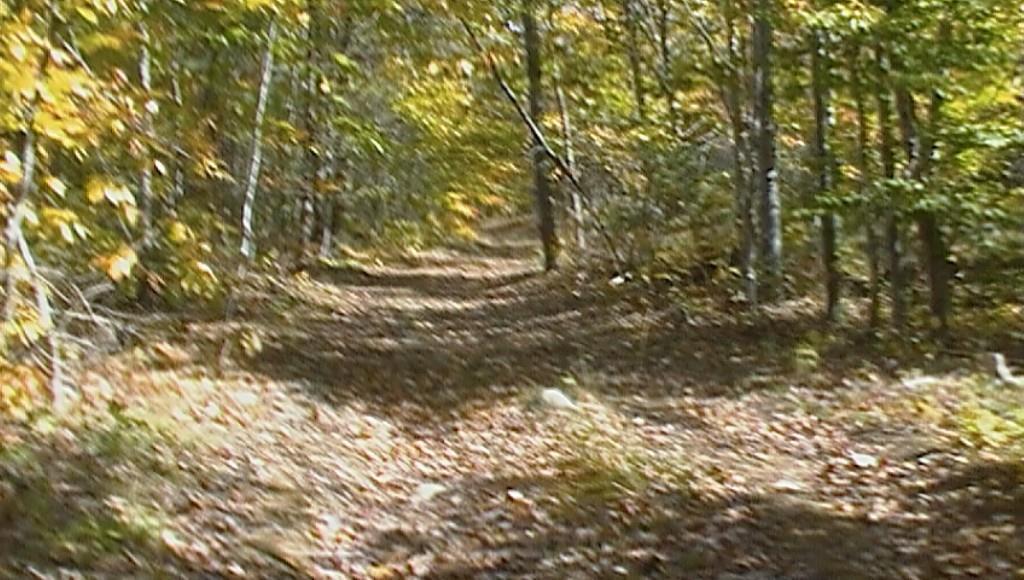 Lot 8 Smith Road Lagrange, ME 04453 - Photo 1 of 1 Photo