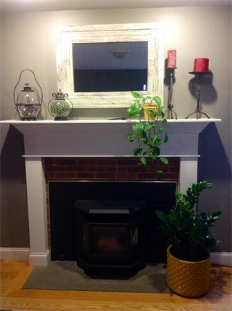 82 Shaw Road Goshen, MA 01330 - Photo 12 of 29 a living room with a potted plant on a fireplace